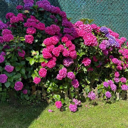 Casa Rural Casa Cerezal กังกัส เด โอนิส ภายนอก รูปภาพ