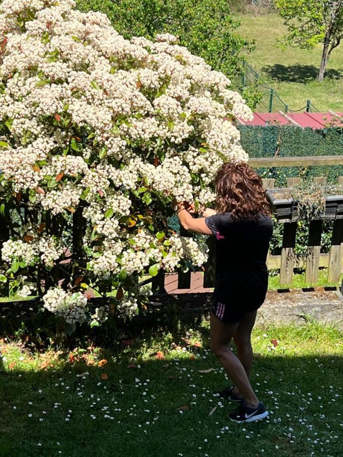 Casa Rural Casa Cerezal กังกัส เด โอนิส ภายนอก รูปภาพ