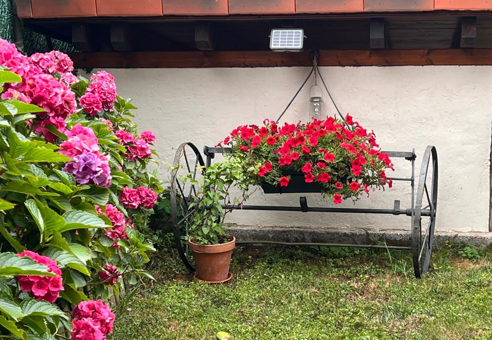 Casa Rural Casa Cerezal กังกัส เด โอนิส ภายนอก รูปภาพ