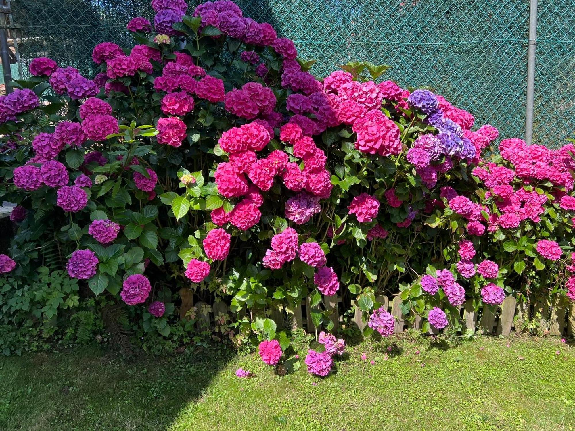 Casa Rural Casa Cerezal กังกัส เด โอนิส ภายนอก รูปภาพ