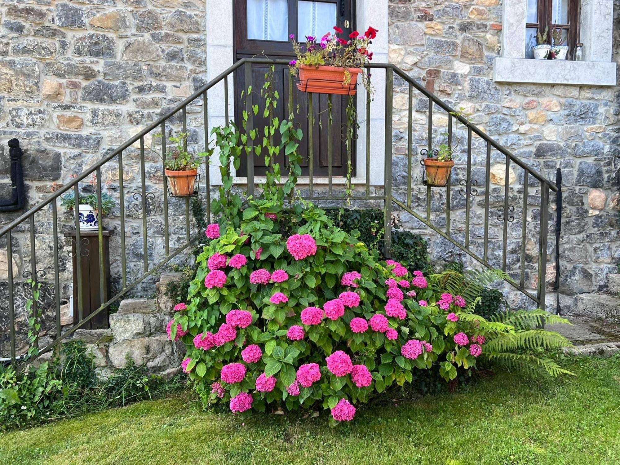 Casa Rural Casa Cerezal กังกัส เด โอนิส ภายนอก รูปภาพ